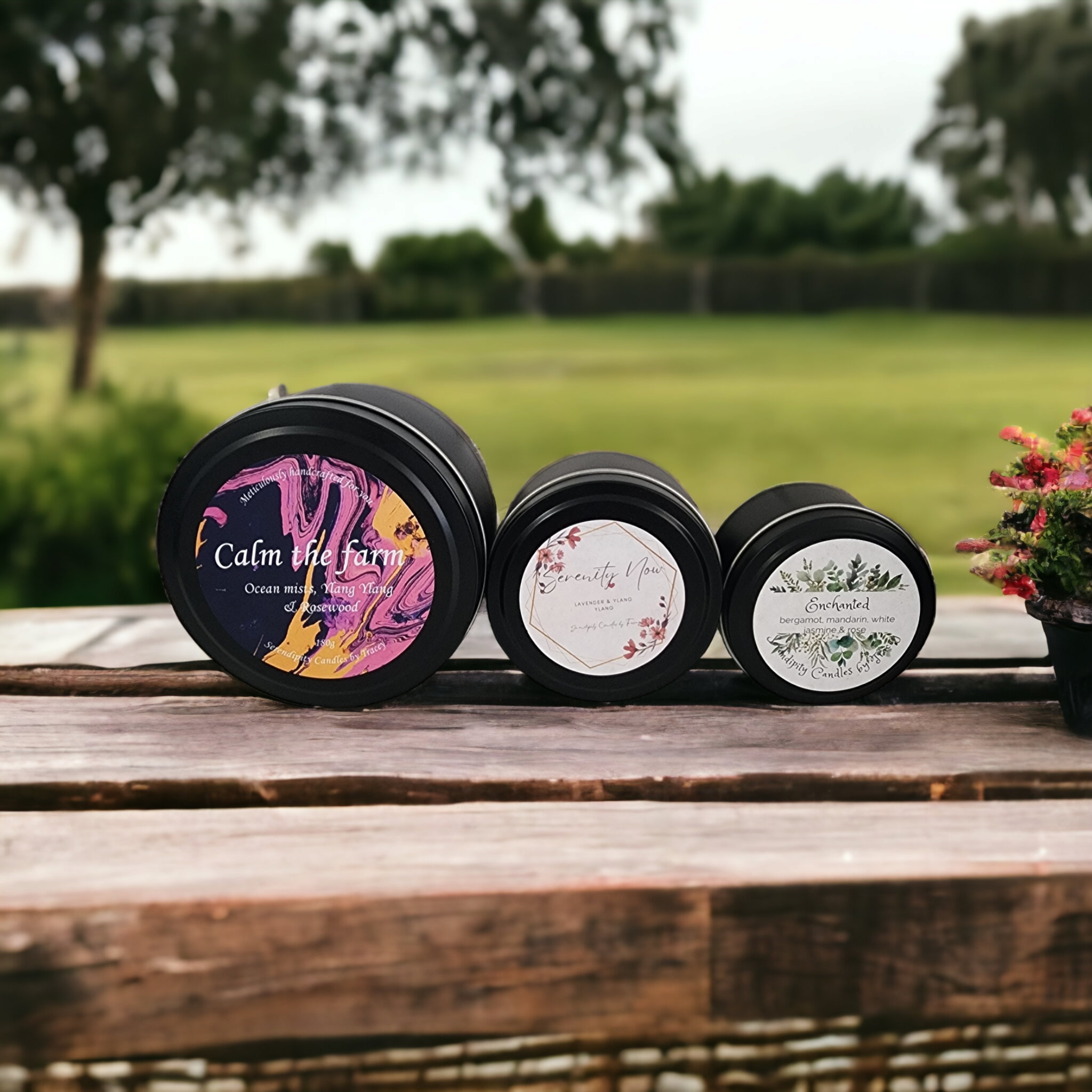 Medium | Large | Gifting Tins