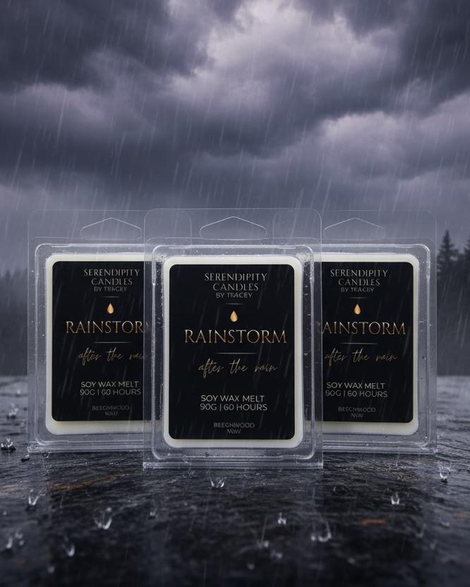Rainstorm Wax Melts Storm Scene