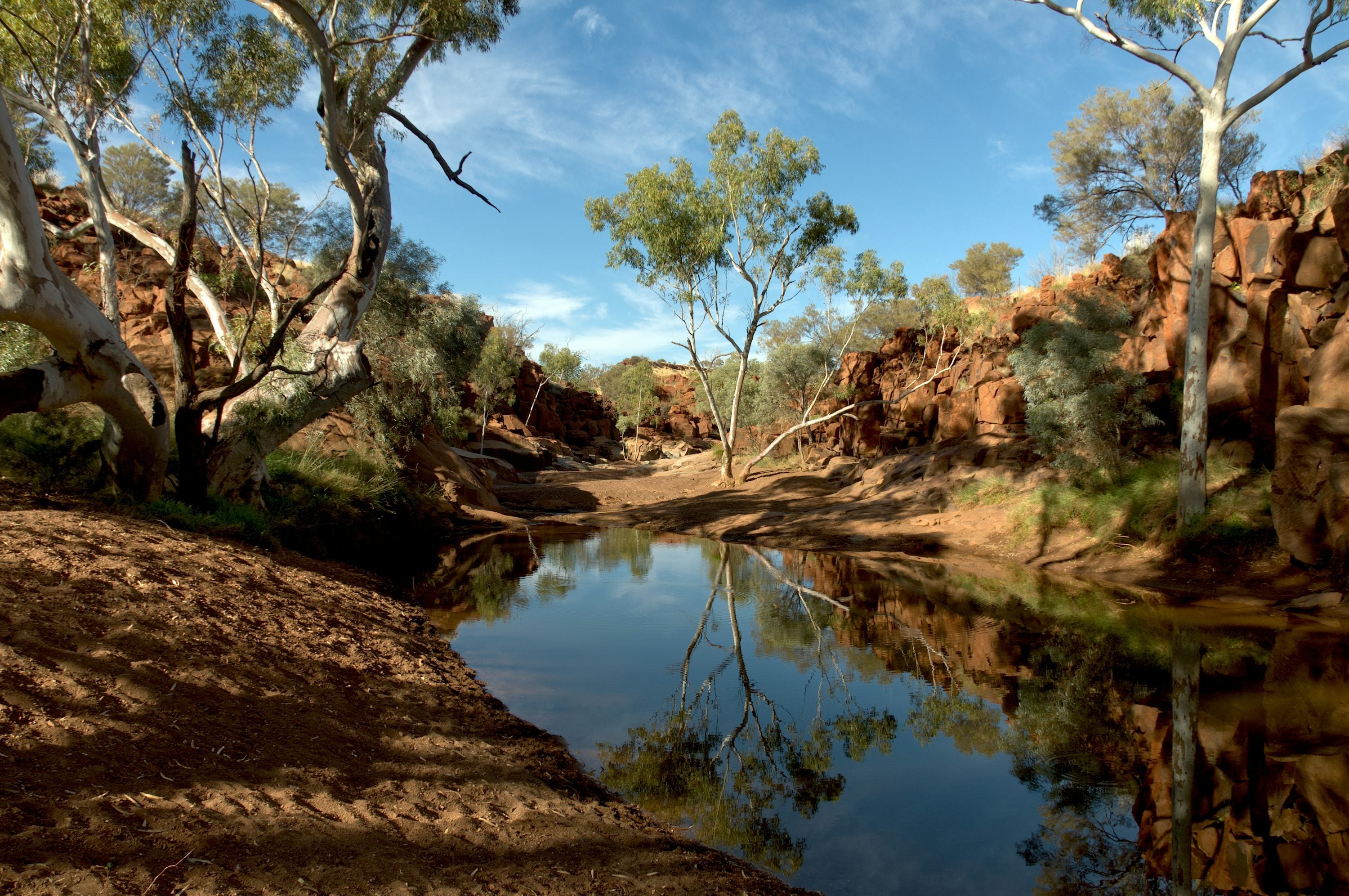 Wild Australia Collection